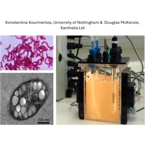 Thumbnail KOURMENTZA